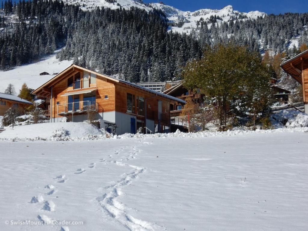 Bed & Breakfast l'Epicéa v zimě