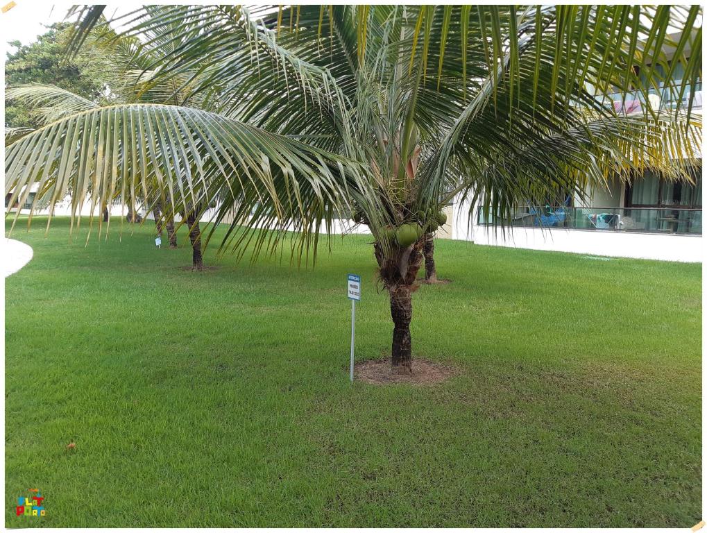  Carneiros Beach Resort
