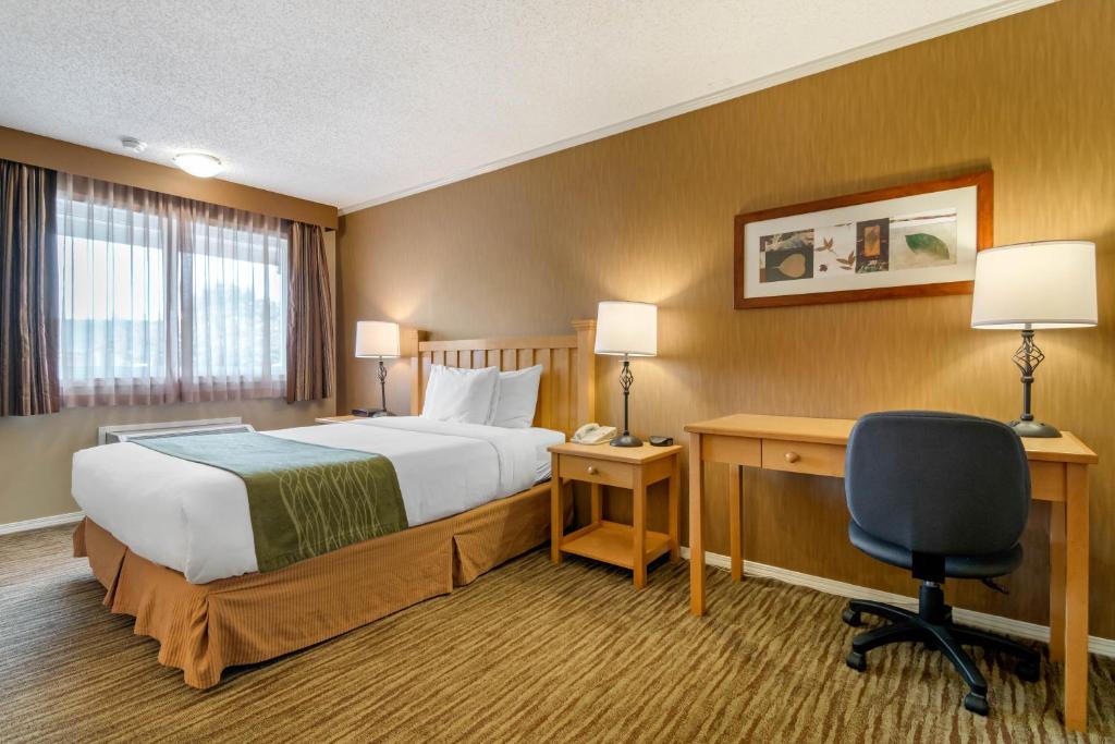 Postel nebo postele na pokoji v ubytování Econo Lodge Inn & Suites