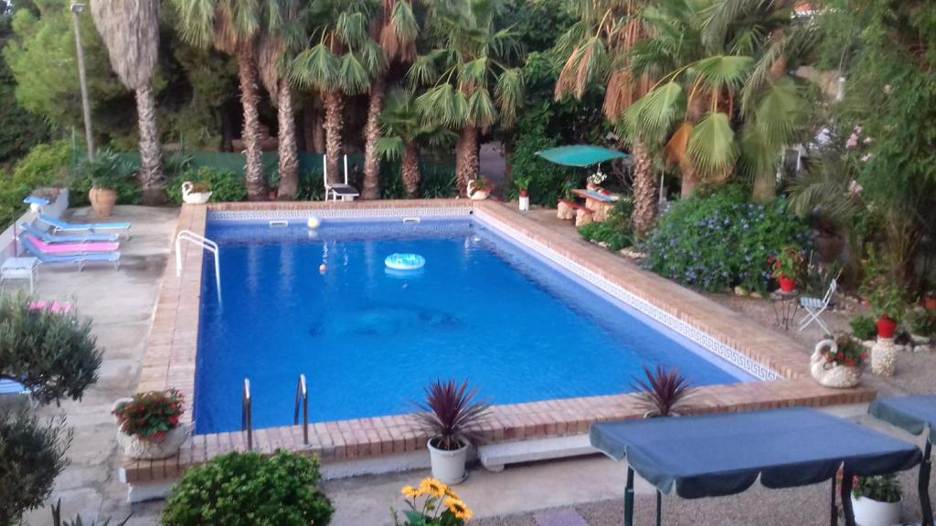 uma grande piscina azul com palmeiras em Casa Rural COMPLEX MASIA DEL TREMENDO y Agroturismo em Camarles