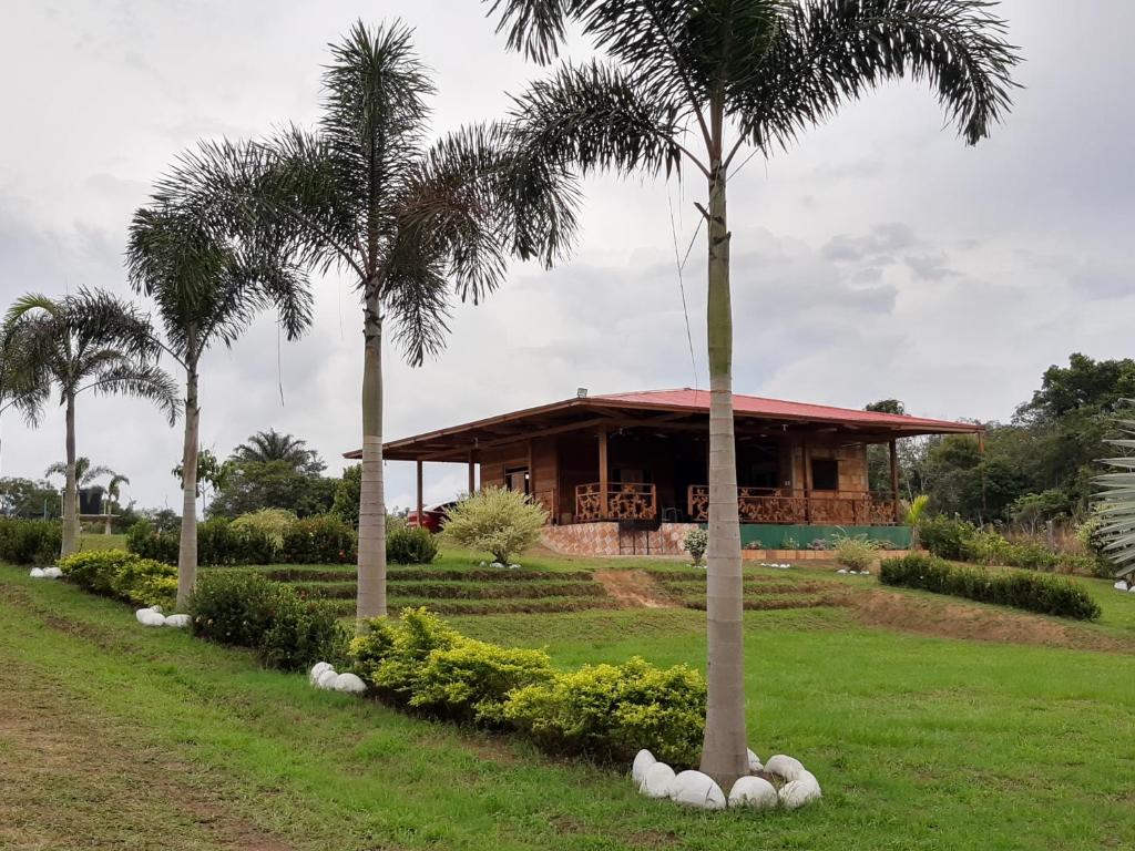a house with palm trees in a park at Casa Campestre Reina María in San José del Guaviare