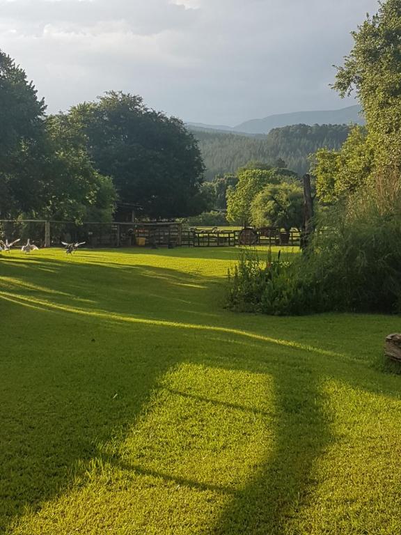 a large field of green grass with trees in the background at Thandamanzi Self Catering in Sabie