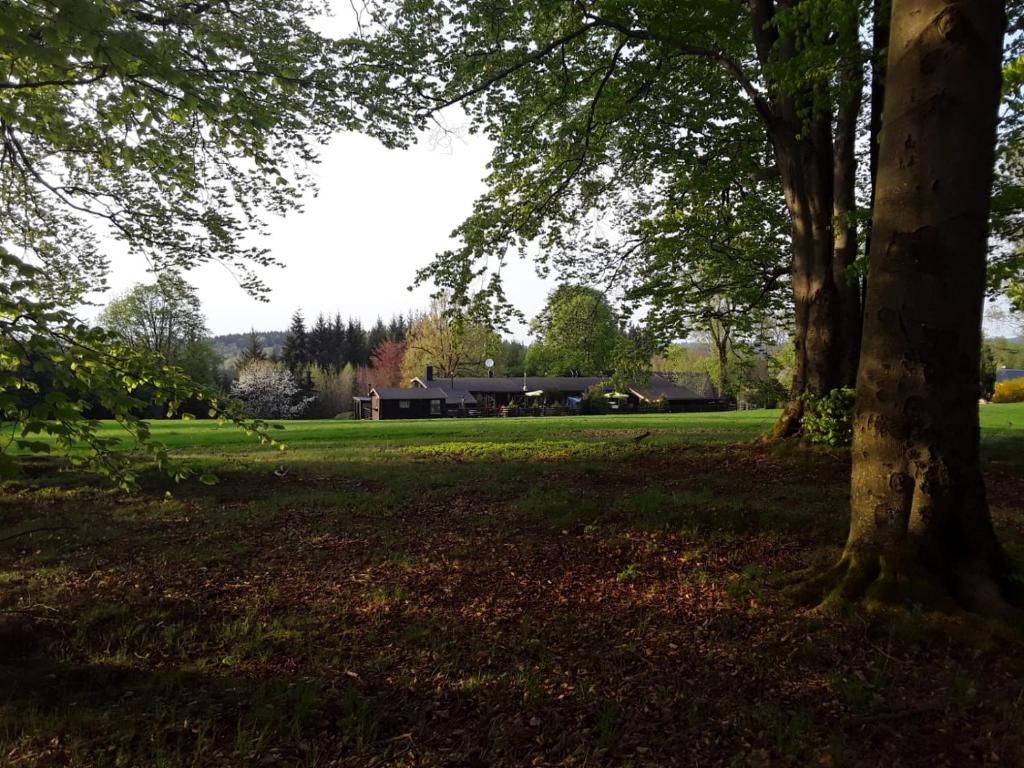 un parque con árboles y una casa en la distancia en Apartment am Buchenhain en Presseck