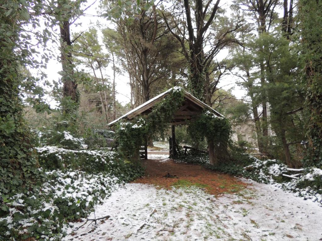 a gazebo covered in ivy in the snow at Aldea del bosque in Villa Ventana