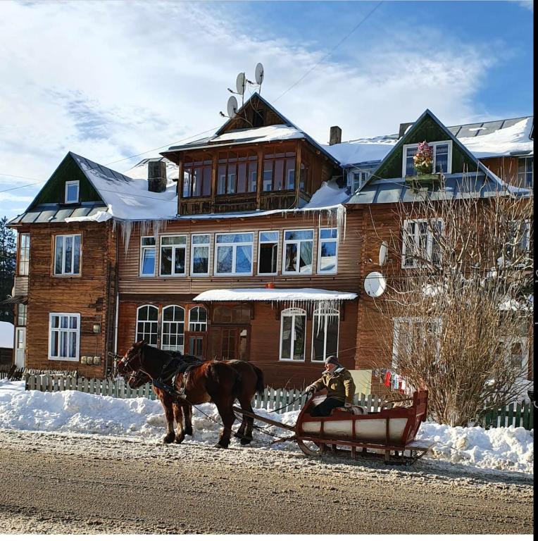 a man riding a horse drawn sleigh in front of a house at Квартира Ворохта in Vorokhta