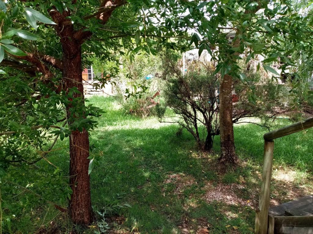 Zahrada ubytování Casas Punta Negra