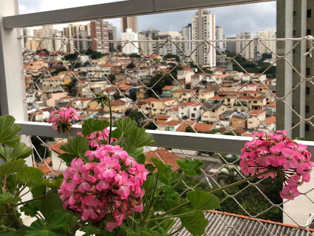  Pompeia Homestay
