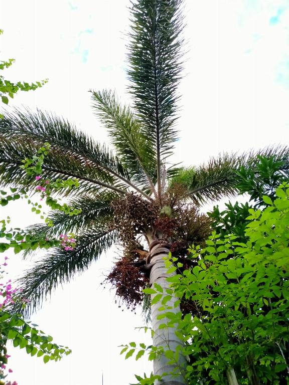 Little Elephant Cottage - 17