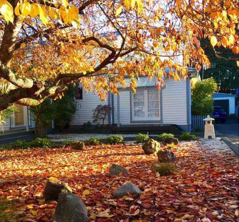 Macadamia Retreat - City Central Hygge - Resim 21