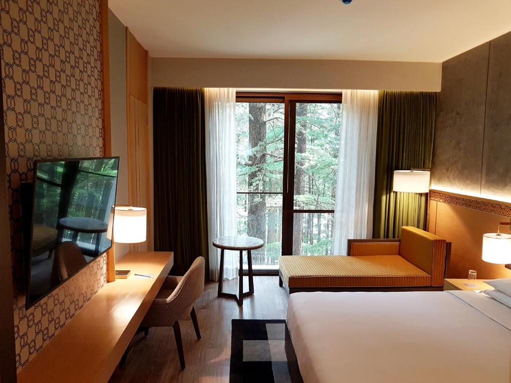 Hyatt Regency Dharamshala Resort - King Room