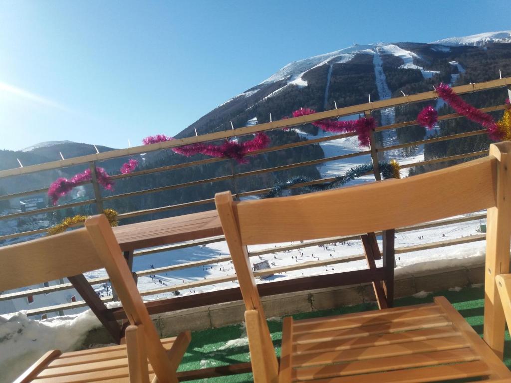 別拉什尼察的住宿－APARTMAN "CHARDAK"，木凳坐在开满鲜花的甲板上
