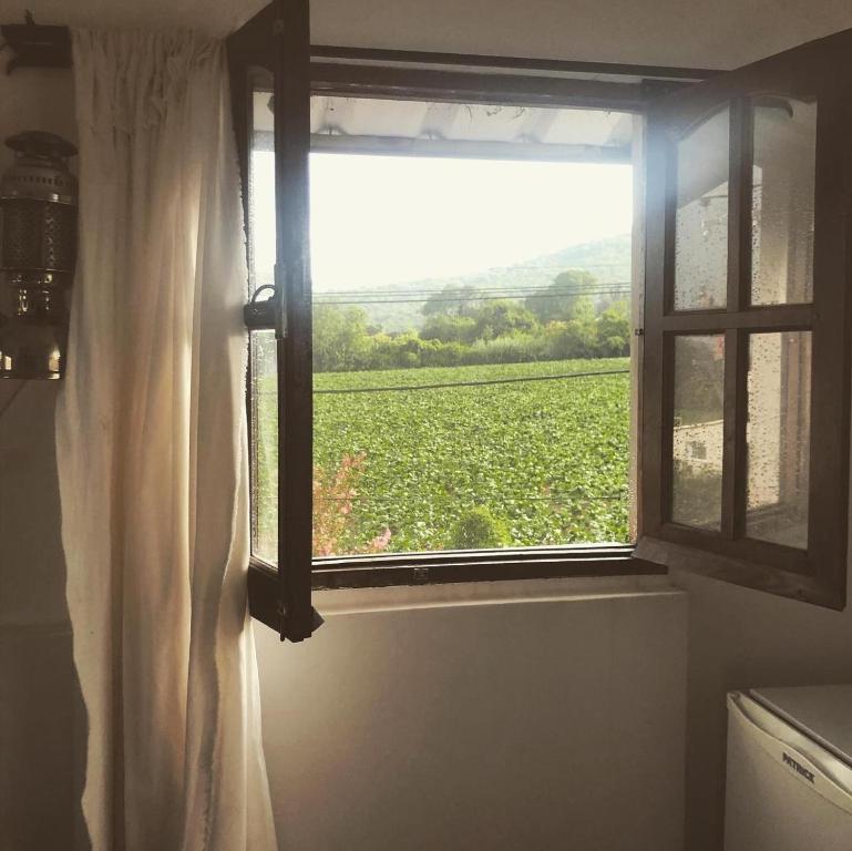 Fotografie z fotogalerie ubytování Hostal Los Faroles Chicoana v destinaci Chicoana