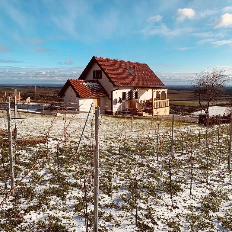 Táj Show holiday homes közelében
