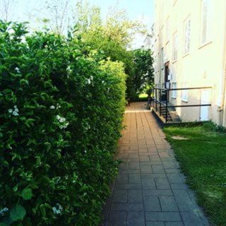 Aed väljaspool majutusasutust Karlshamn Vandrarhem och Hotell