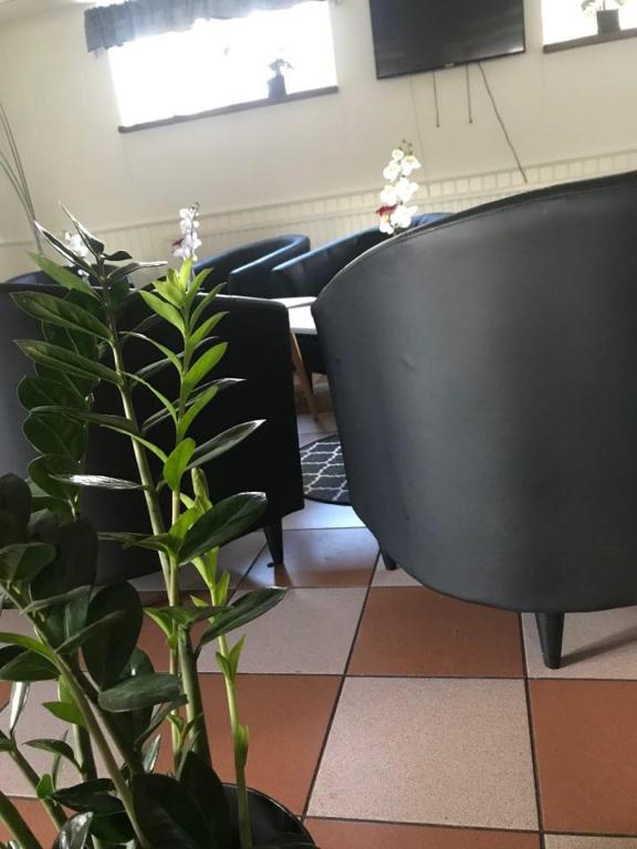 Foto sihtkohas Karlshamn asuva majutusasutuse Karlshamn Vandrarhem och Hotell galeriist