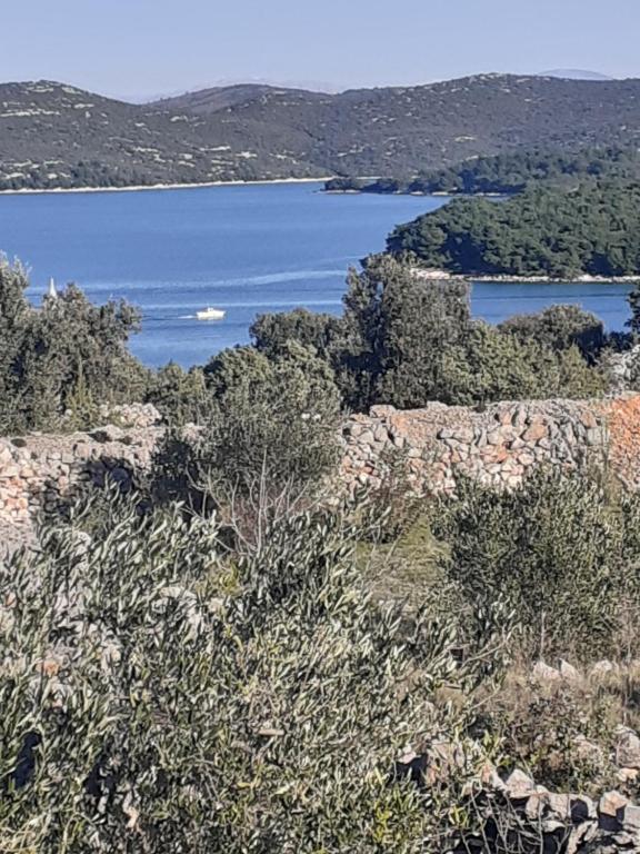 uitzicht op een waterlichaam vanaf een heuvel bij Villa Palfi in Jezera