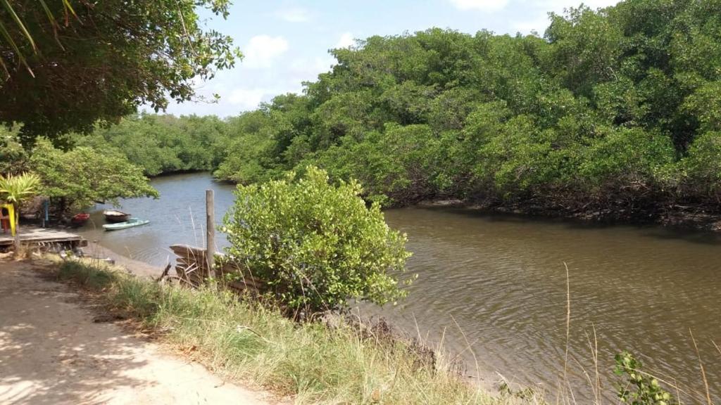  Village em Porto de Sauípe - Lazer e natureza
