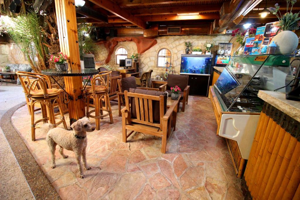 a dog standing in a room with a table and chairs at Sunset Inn in Eilat