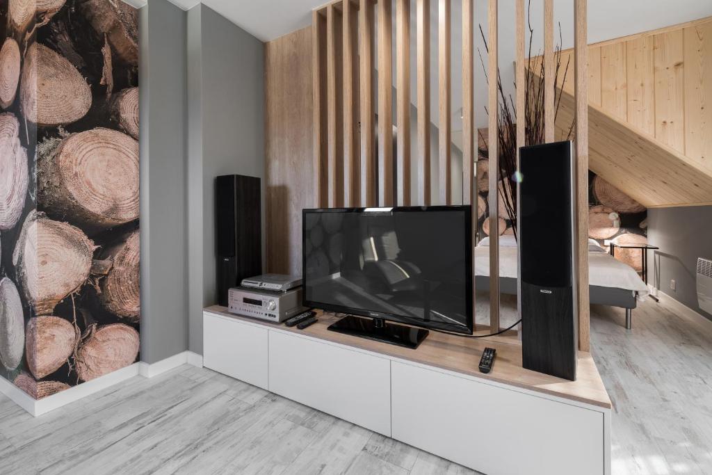 Televízia a/alebo spoločenská miestnosť v ubytovaní Apartament Widok
