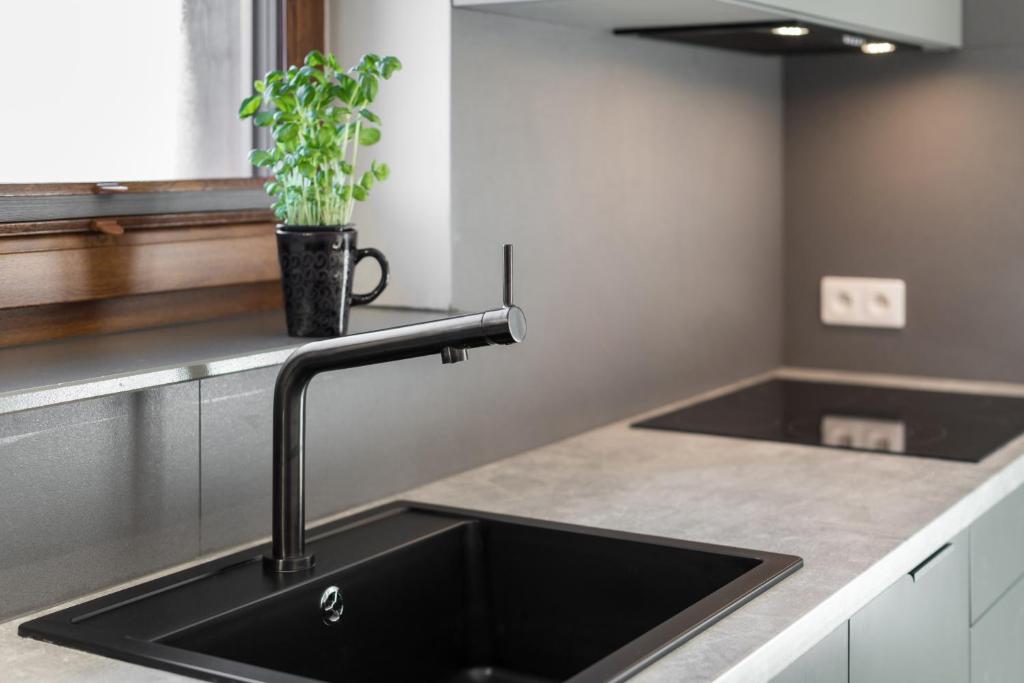 Kuchyňa alebo kuchynka v ubytovaní Apartament Widok