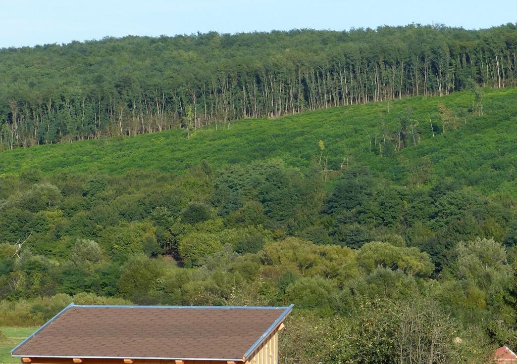 Příroda nedaleko prázdninového domu