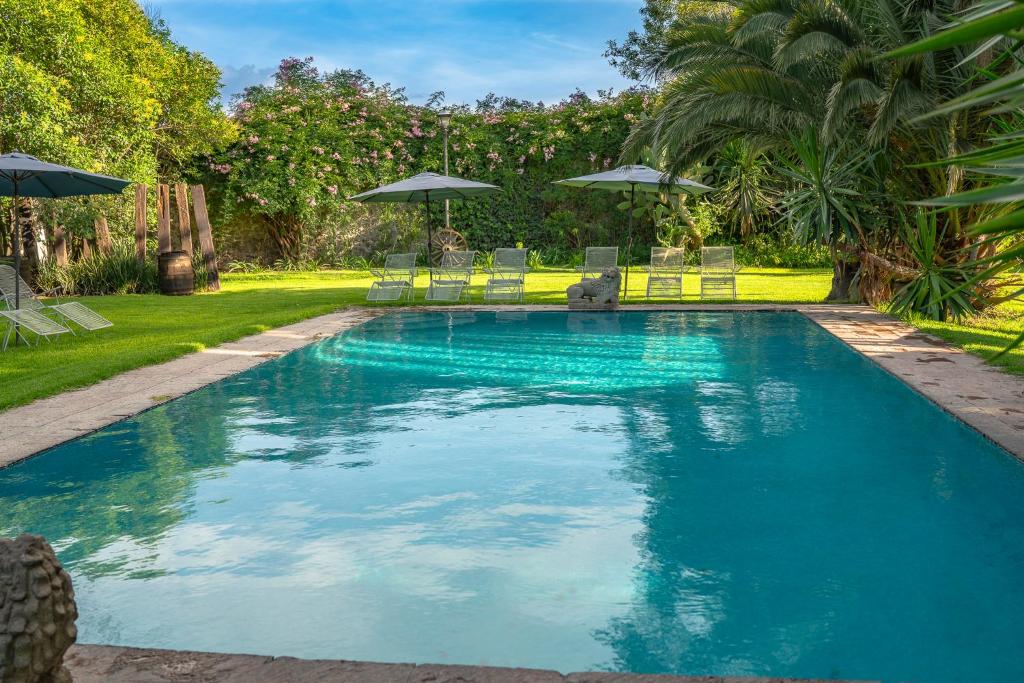 a pool with chairs and umbrellas in a yard at Posada Colibri - Hotel & Spa in San Juan Teotihuacán