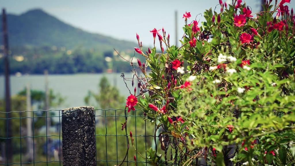  Morada Jasmim dos Poetas