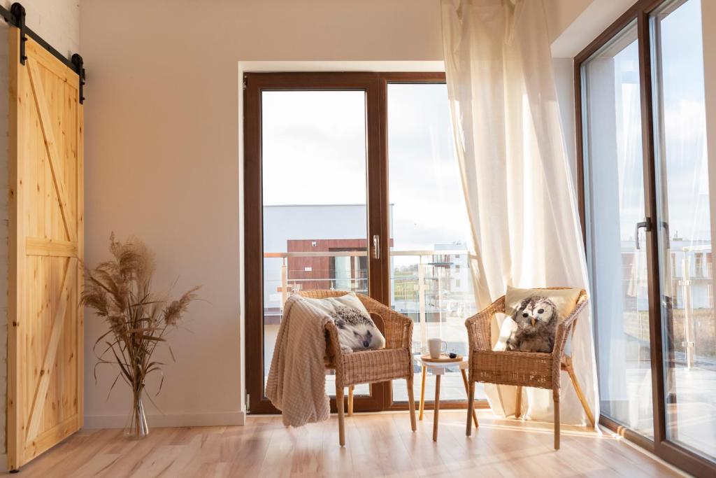 pies siedzący na krześle przed oknem w obiekcie Eco apartament Nałęczów w Nałęczowie