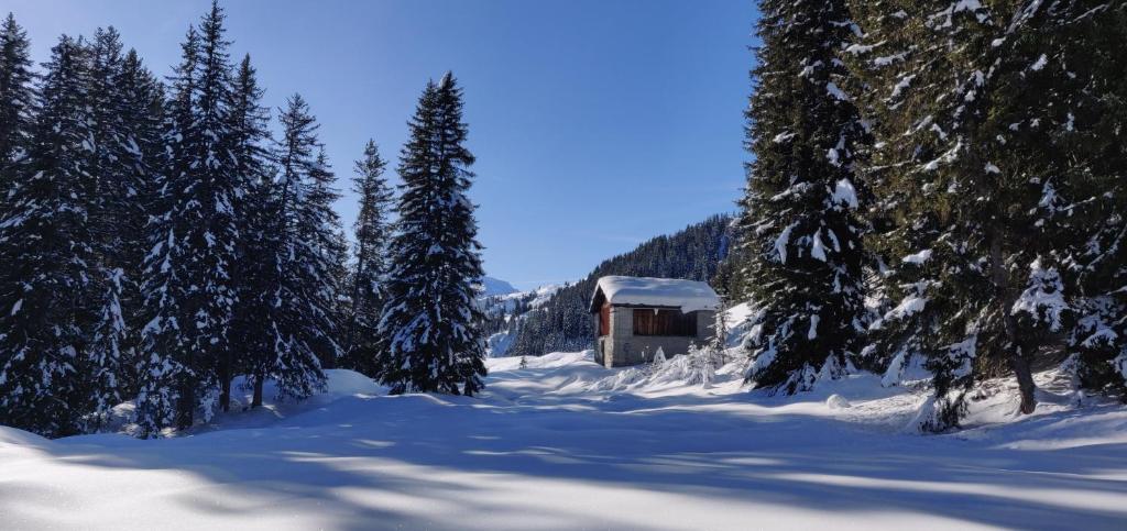 Z Studio - next door to Vals Therme v zimě