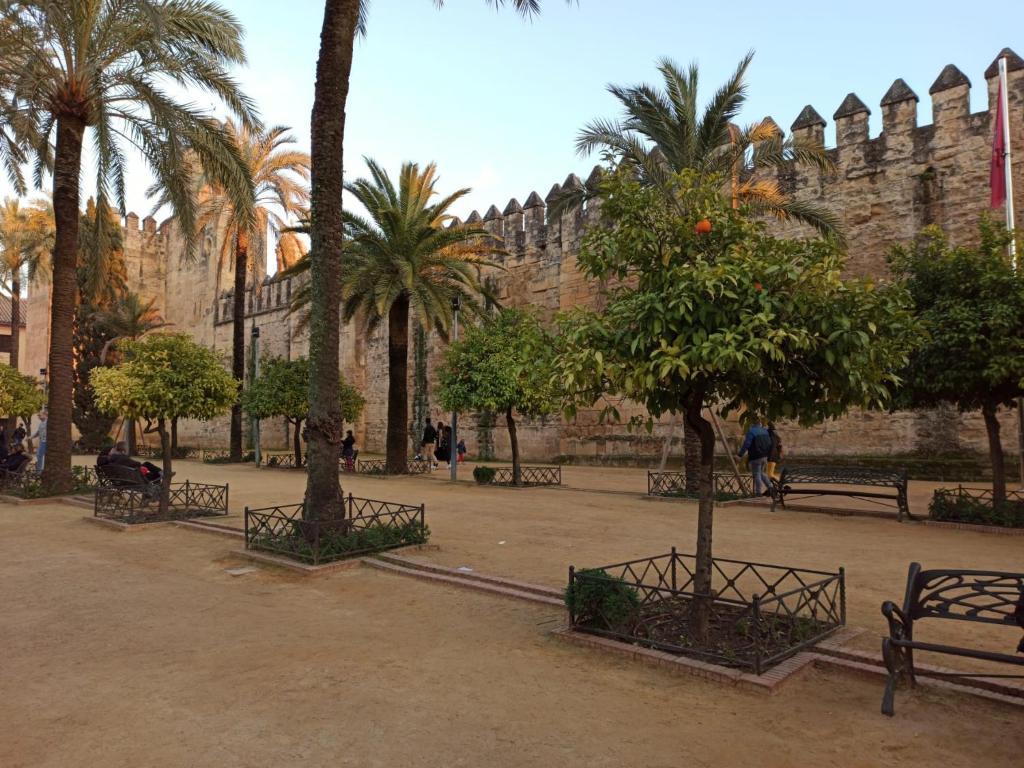 A garden outside Amor, emoción y más, Auténtico apartamento céntrico climatizado,con wifi, cercano a la catedral y estaciones