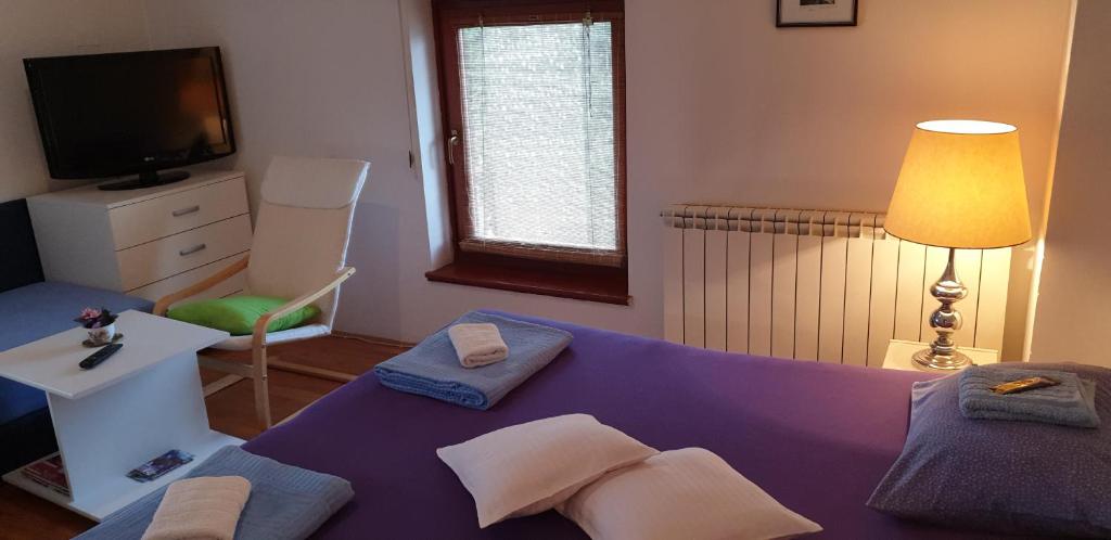 a living room with a purple couch and a tv at Apartments Bikica in Vrnjačka Banja