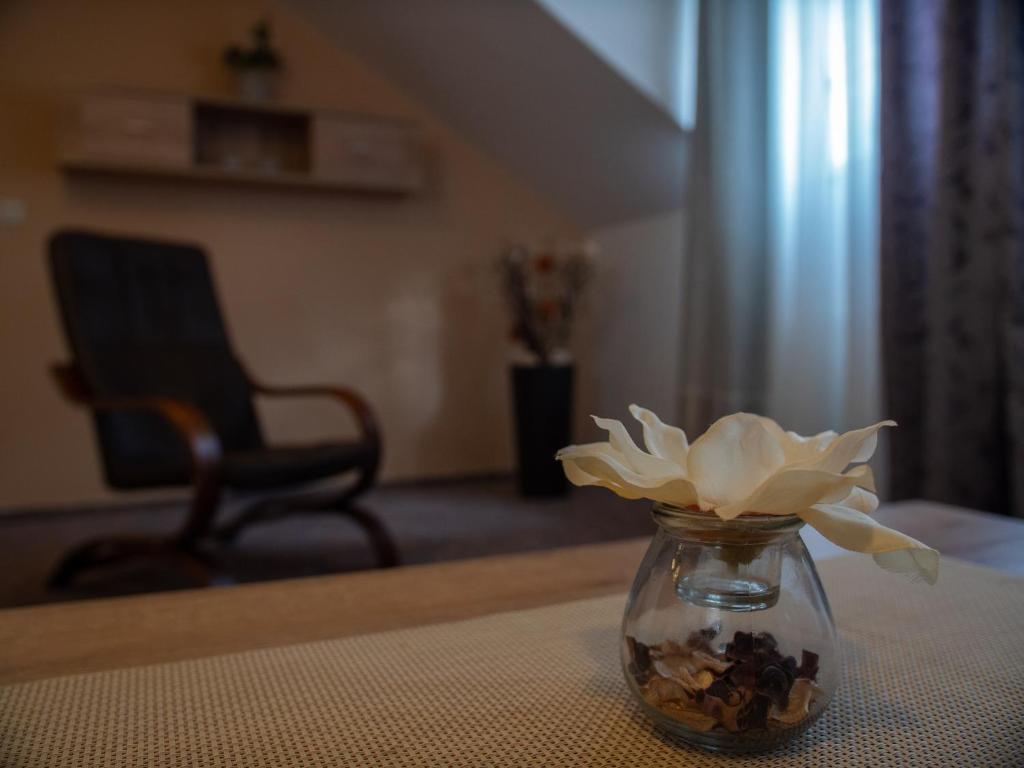 Fotografie z fotogalerie ubytování Hotel Pizzeria Istria ve Velkých Losinách