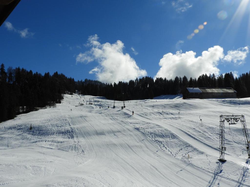 Krähenberg am Rande der Wildnis v zimě