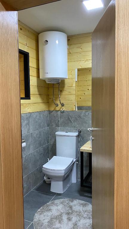 a bathroom with a toilet and a sink at Alexandar studio apartman in Mokra Gora