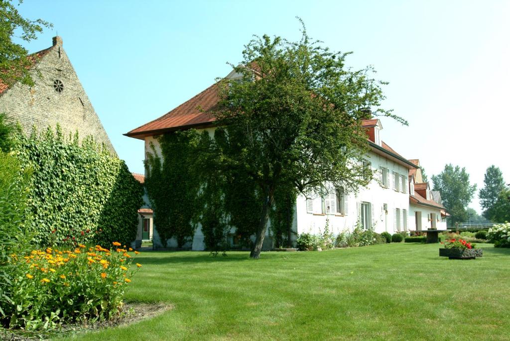 Zahrada ubytování Holiday Home De Colve