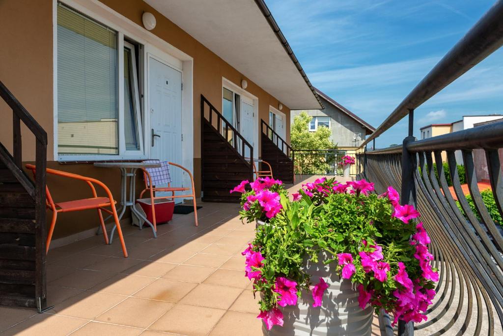 a porch with a pot of pink flowers on it at POKOJE GOŚCINNE -MARIA- in Ostrowo