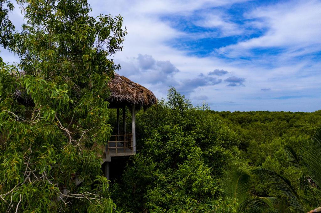 una casa en el árbol en medio del bosque en Mermaid Cabana and Tree Houses, en Tangalle