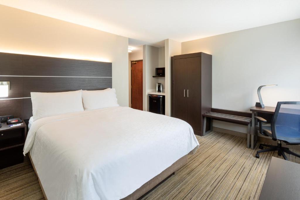 Holiday Inn Express Hotel & Suites Minneapolis-Downtown Convention Center, an IHG Hotel - Standard Queen Room