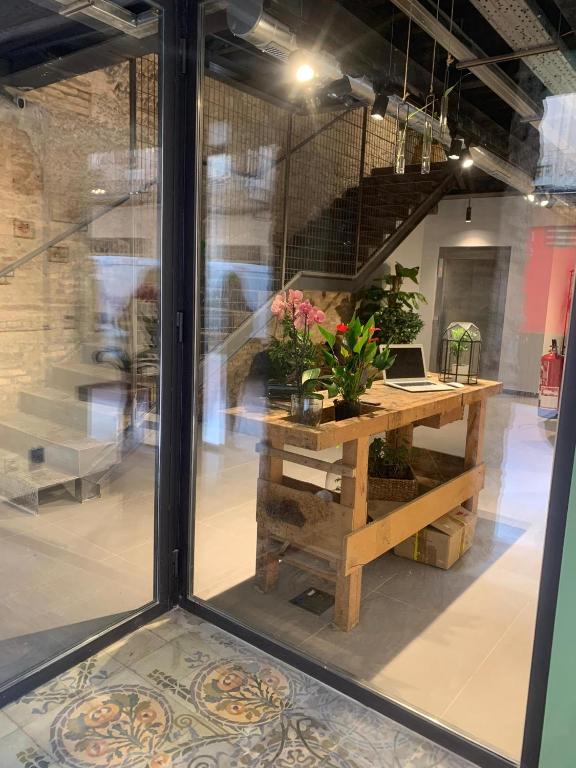 Fotografie z fotogalerie ubytování VTZ The Botanic Hostel v destinaci Zaragoza