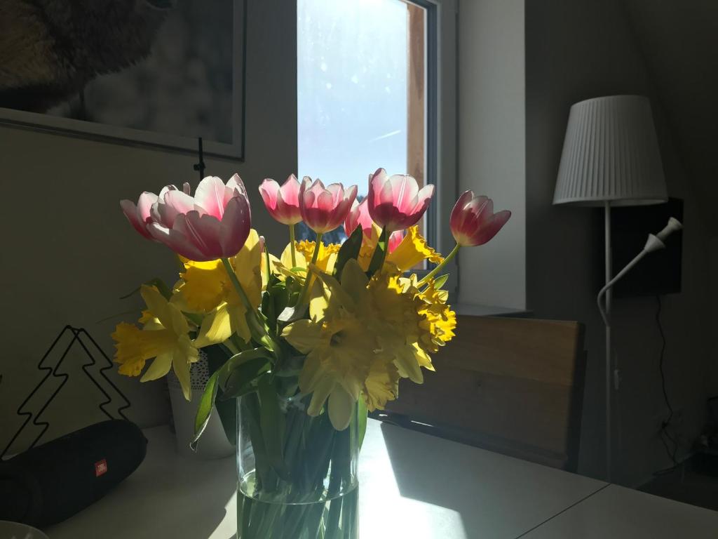 Fotografie z fotogalerie ubytování Penzion Kvilda - Luční v Kvildě
