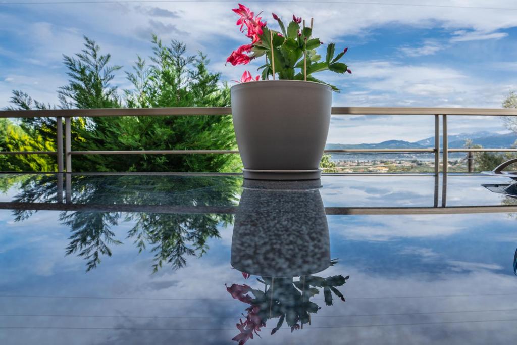 a potted plant sitting on top of a table at PANORAMA APARTMENT in Apolpaina