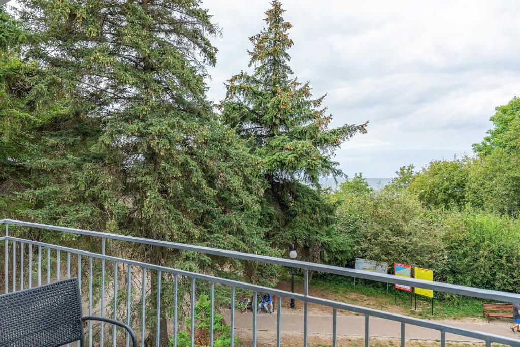 Balcony view with metal railing, chair, tall trees and walkway below, calm outdoor scene