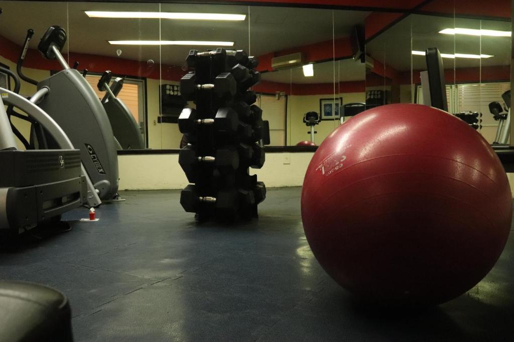 Fitness centrum a/nebo fitness zařízení v ubytování Hotel Santa Irene Guadalajara