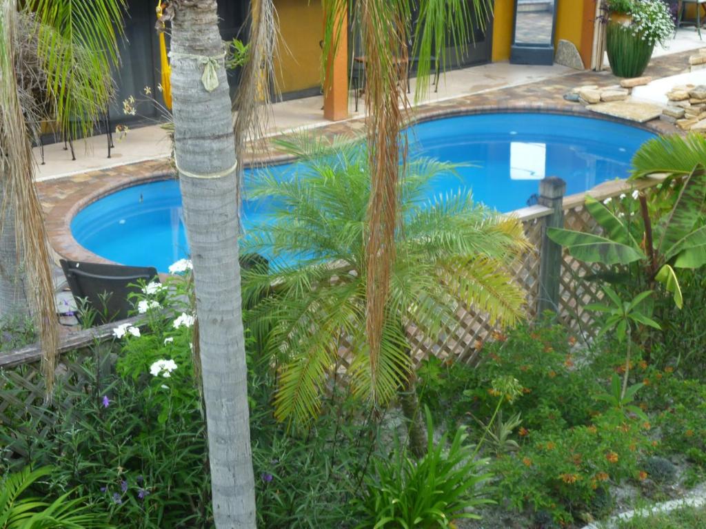 #1 Island Hideaway - Suite De Una Habitación
