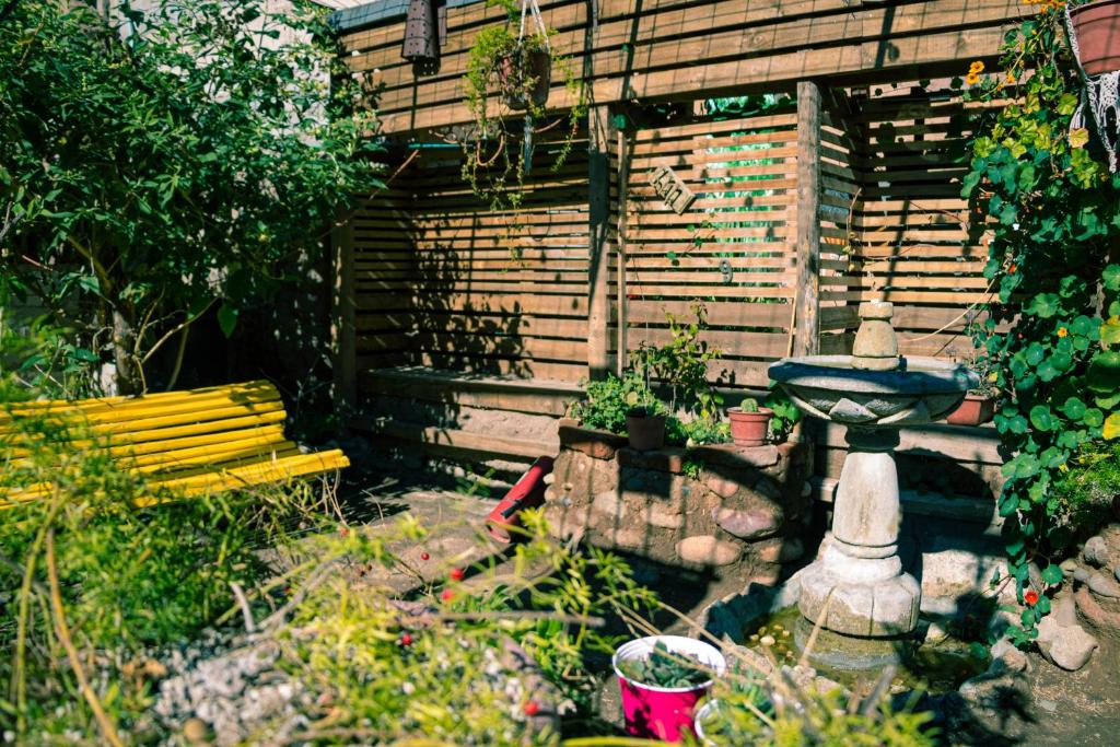 Zahrada ubytování Hostal Valle Mistral