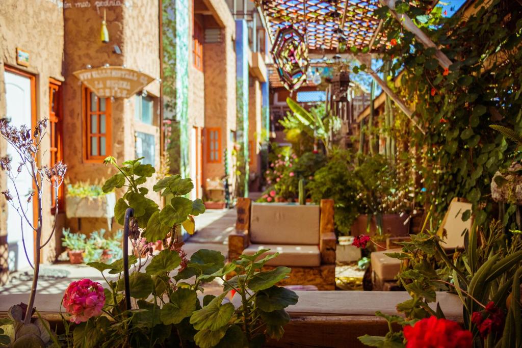 a street with flowers and plants in a building at Hostal Valle Mistral in La Serena