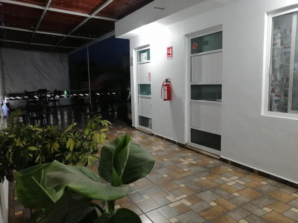 Fotografie z fotogalerie ubytování Hostal Maple v destinaci Querétaro