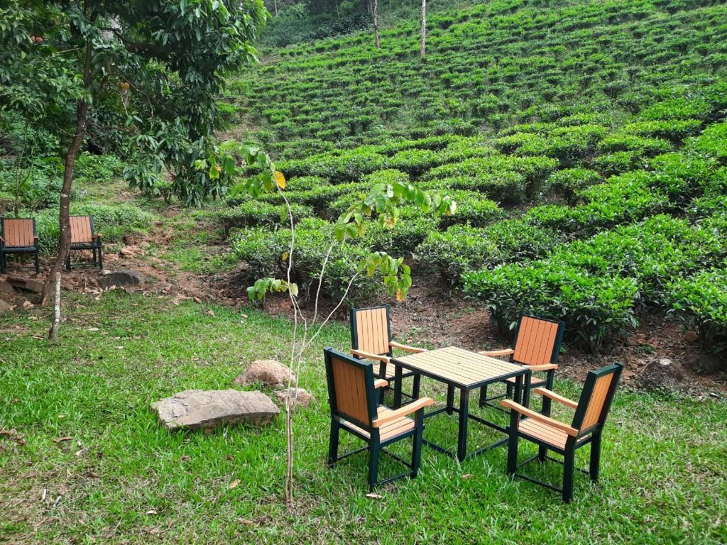 Zahrada ubytování Janiro Tea Trees Villas