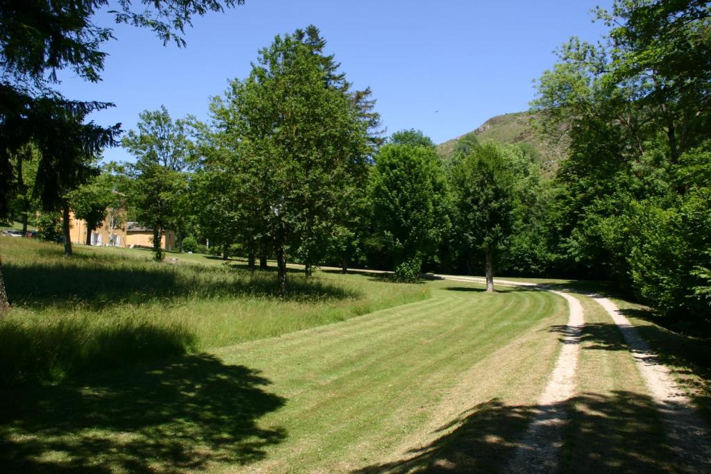 eine unbefestigte Straße mit Bäumen und einem Berg im Hintergrund in der Unterkunft Lou Prat in Meyrueis