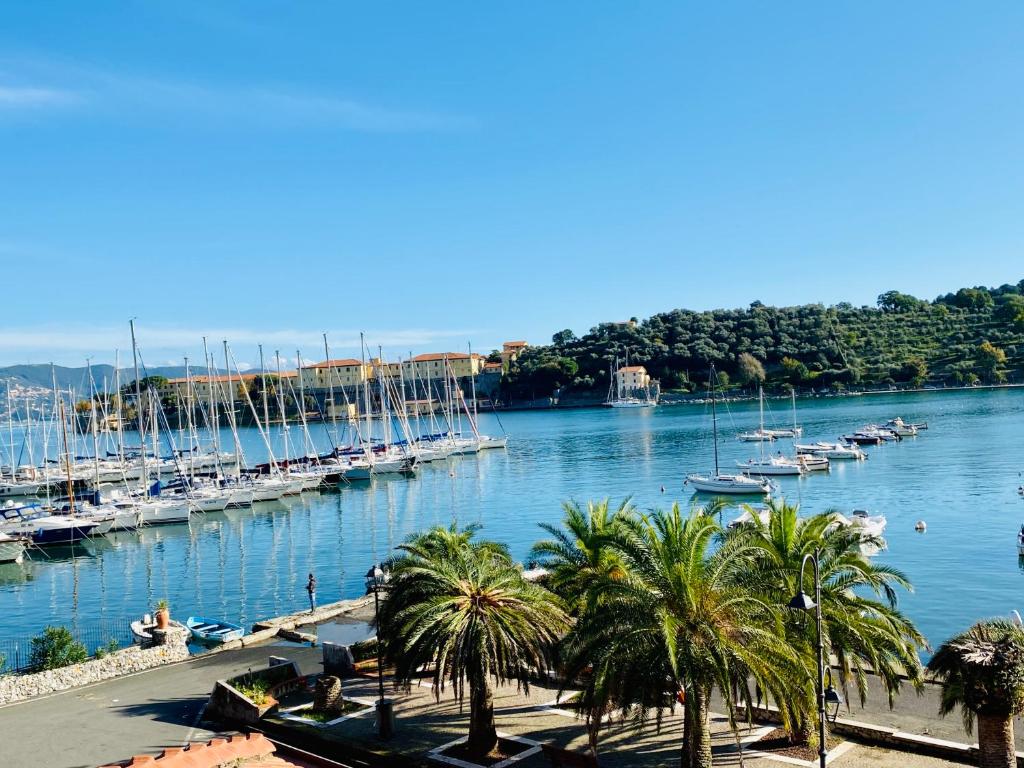 un port de plaisance avec des bateaux dans l'eau et des palmiers dans l'établissement Hotel Della Baia, à Portovenere